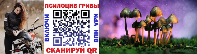 Галлюциногенные грибы Cubensis  купить  цена  Канск 